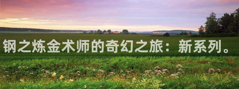 哔咔漫画涩：钢之炼金术师的奇幻之旅：新系列。