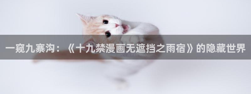 哔咔漫画在线观看网站入口：一窥九寨沟：《十九禁漫画无遮挡之雨宿》的隐藏世界